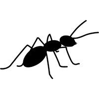 Ant Pest Control Services In Mumbai
