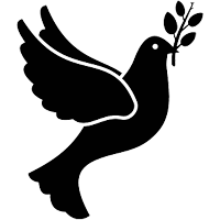 Pigeon Pest Control Services In Mumbai