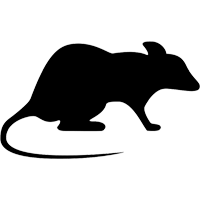 Rodent Pest Control Services In Mumbai