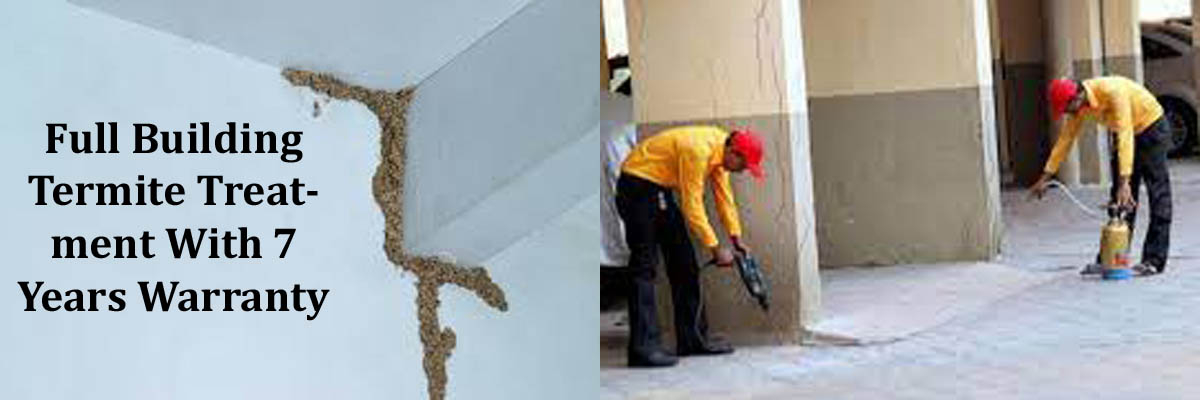 Cockroach Pest Control Services in Mumbai