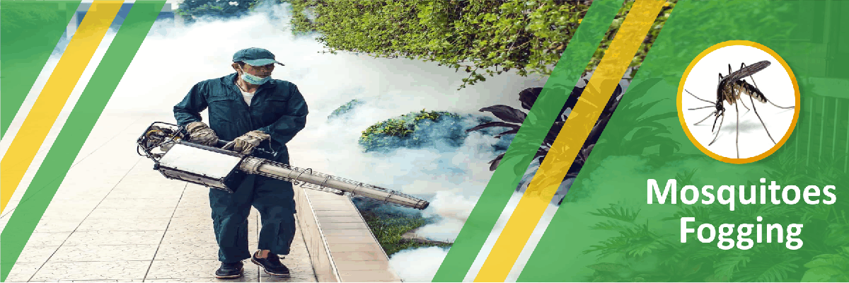 Mosquito Fogging Treatment Services in Mumbai