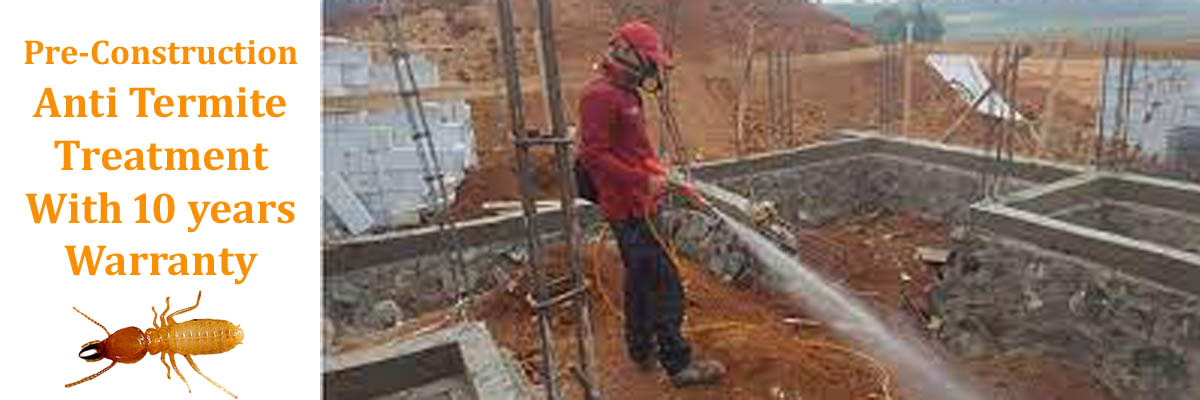 Termites Treatment Services in Mumbai